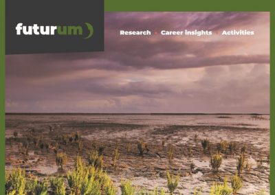 How can plants clean contaminated soils?
