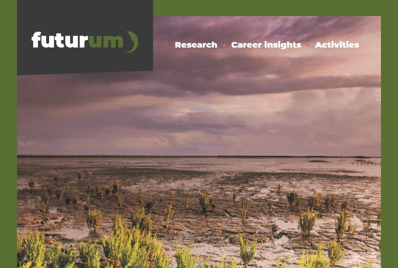 How can plants clean contaminated soils?