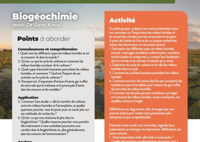 Biogéochimie