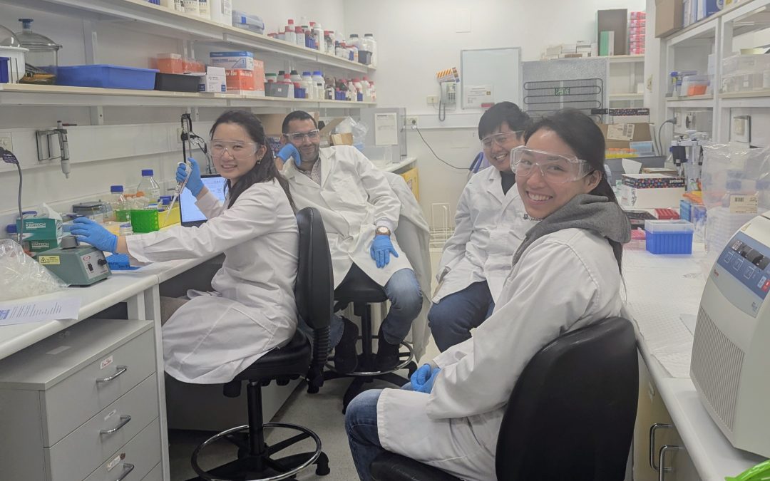 Targeting the lymphatic system as a new gateway for effective drug delivery