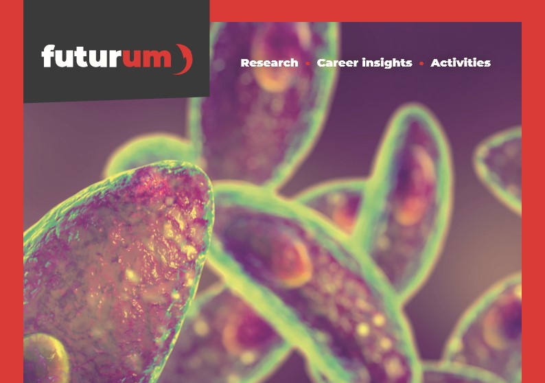 Targeting the hidden threat: what the cell cycle of Toxoplasma gondii can teach us about fighting infection