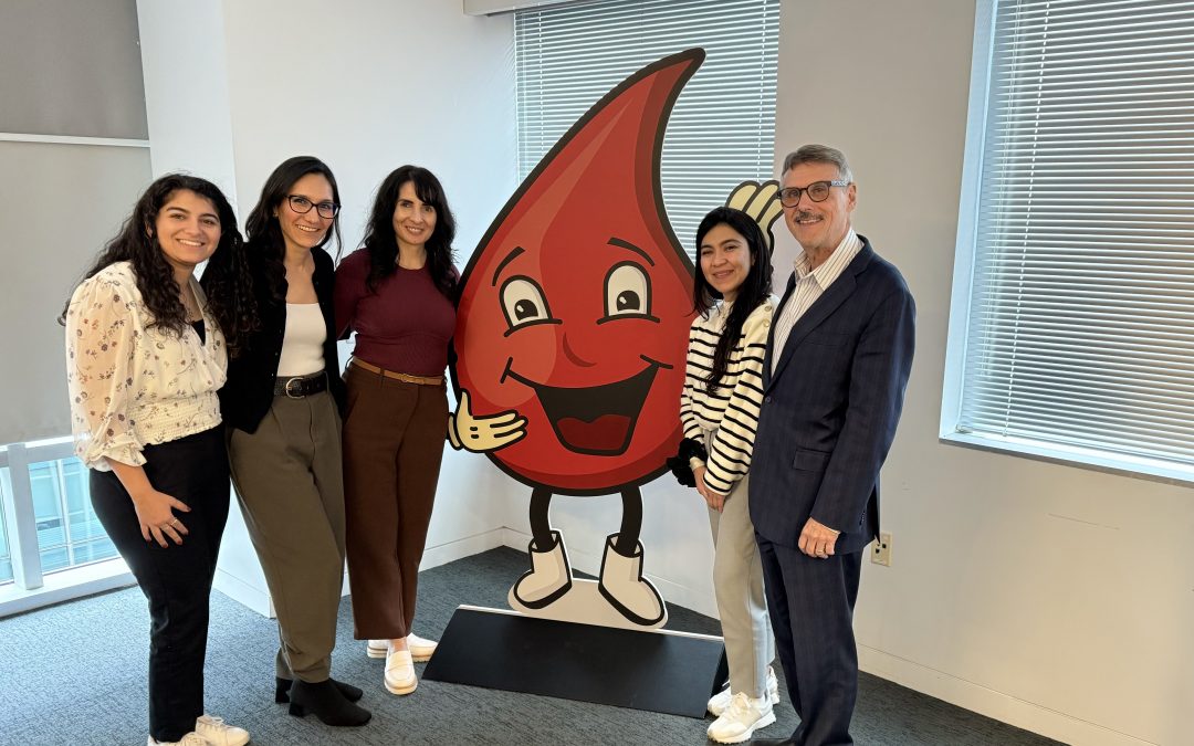 In evidence we trust: how do doctors decide which treatments to recommend to their patients?