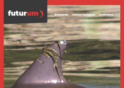 What can biostatistics teach us about dolphin culture and communication?