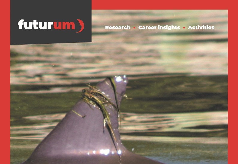 What can biostatistics teach us about dolphin culture and communication?