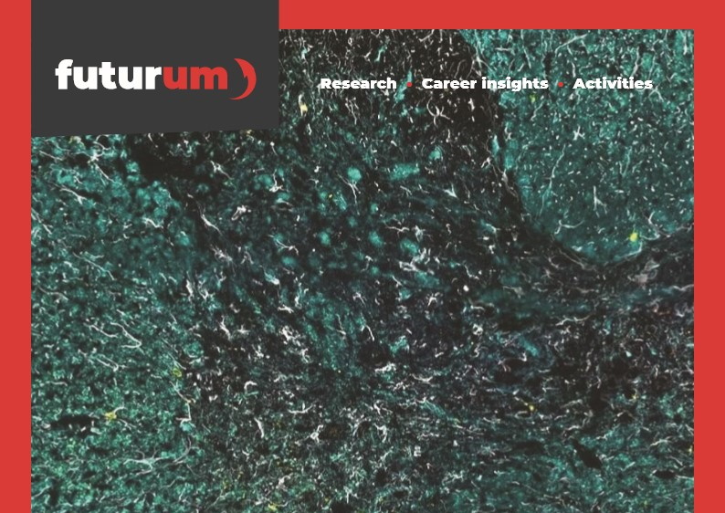 How do immune cells ‘evolve’ to protect us?