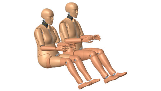 Road traffic safety for dummies: the world’s first average female crash test dummy