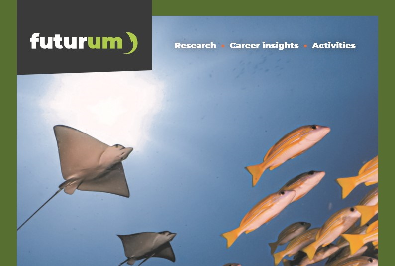 Ocean soundscapes: how do fish hear?