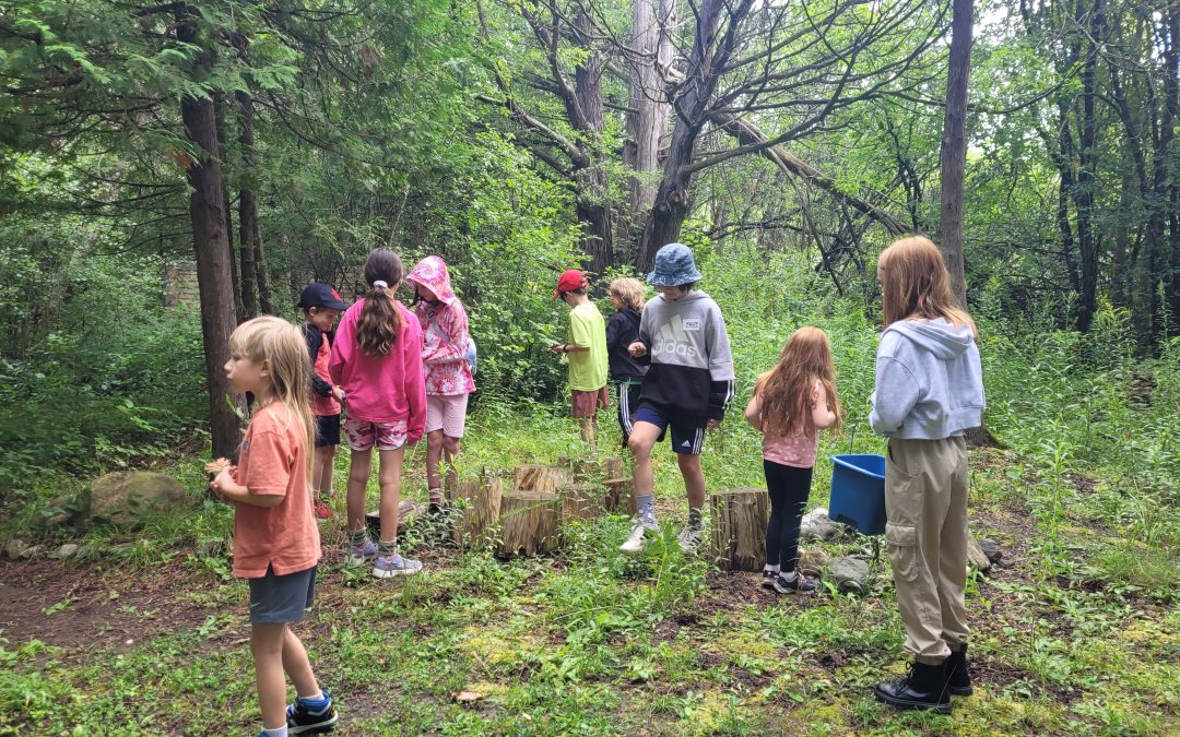 Learning how to learn together