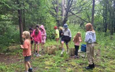 Learning how to learn together