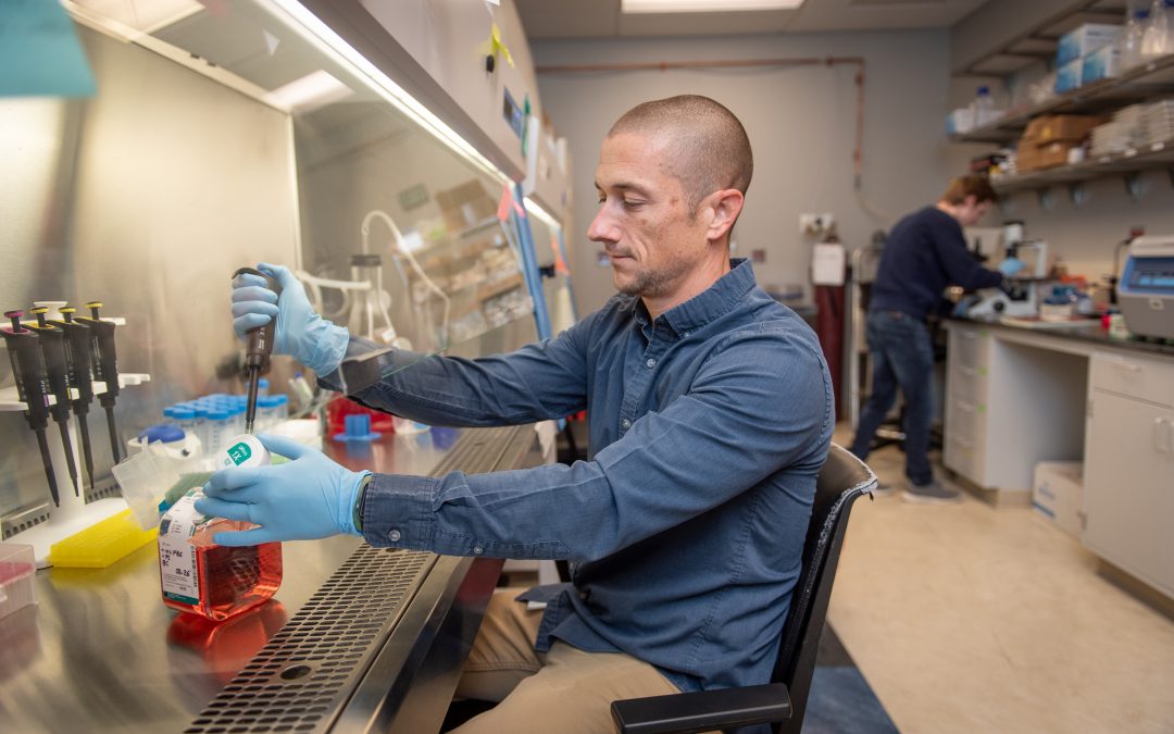 Could oddly behaving mitochondria hold the key to treating leukaemia?