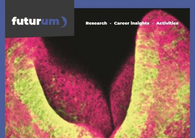 How do rare genetic disorders affect vitamin B12 metabolism and embryonic development?