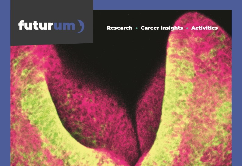 How do rare genetic disorders affect vitamin B12 metabolism and embryonic development?