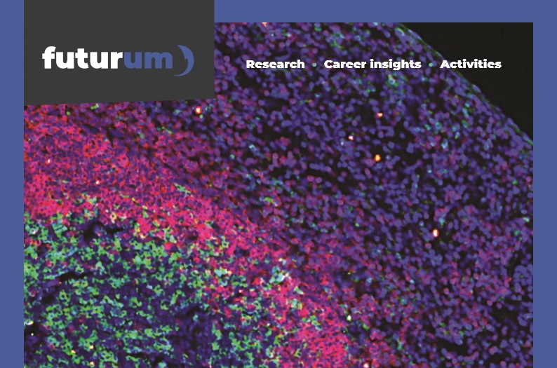 Breath by breath: how T cells protect our lungs from infection
