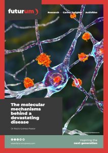 Rocio Gomez-Pastor brochure HR_1