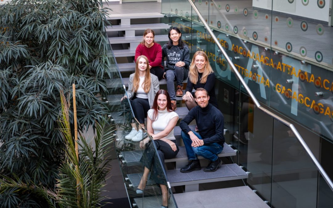 Targeting senescent cells to promote healthy ageing