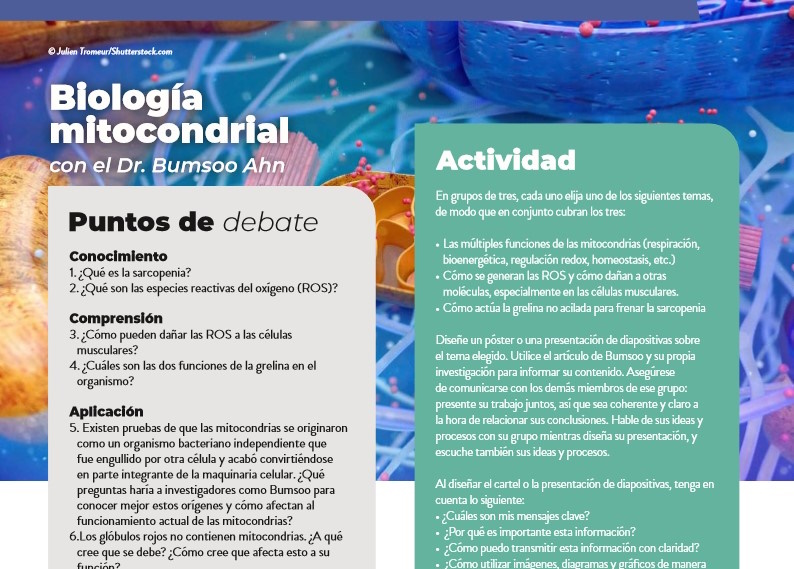 Biología mitocondrial