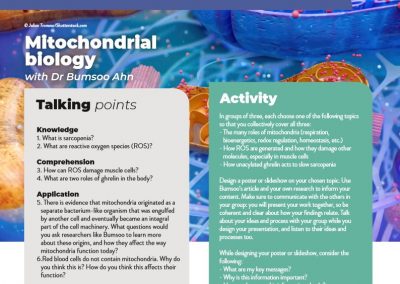 Mitochondrial biology