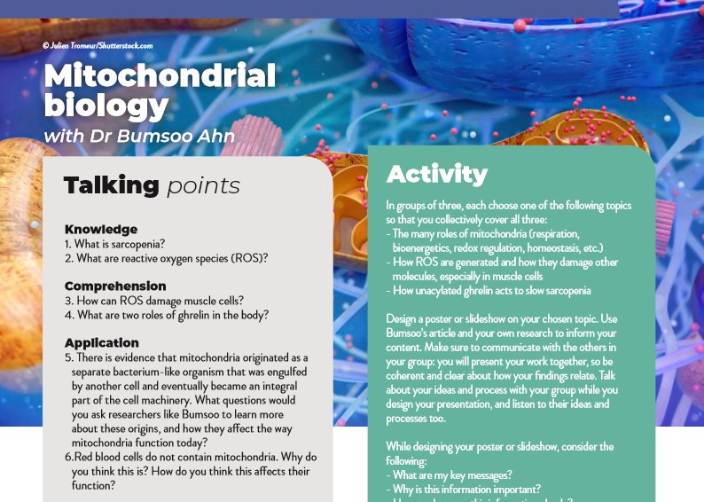 Mitochondrial biology