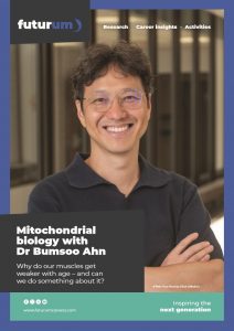 Why do our muscles get weaker with age – and can we do something about it?