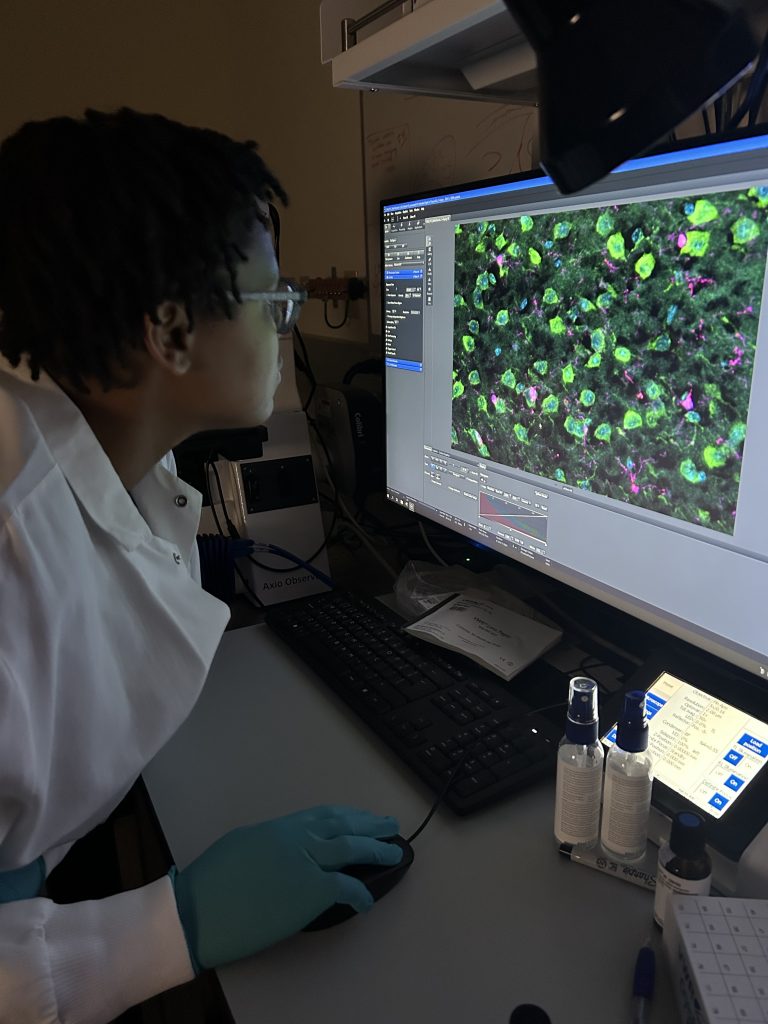 Dr Cherish Taylor analyses