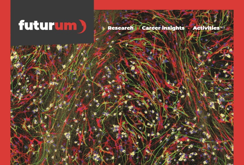 Could the brain’s over-eager ‘pruning shears’ be causing schizophrenia?
