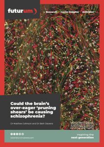 Matthew Johnson and Beth Stevens brochure HR_1