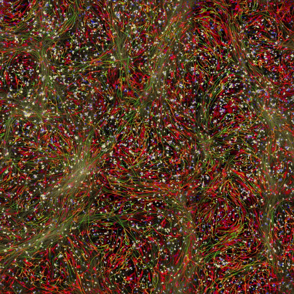 To understand how different