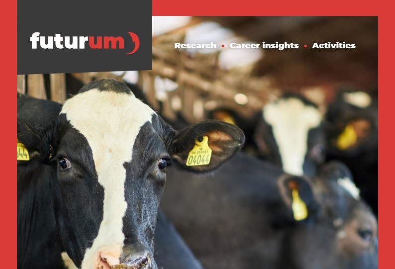 Can lactic acid fermentation disinfect manure?