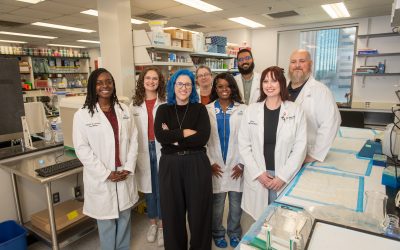 How does the gut microbiome influence the outcomes of breast cancer treatment?