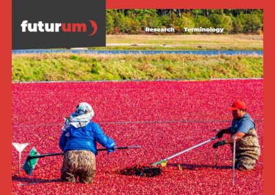 Forecasting frost to protect cranberry crops