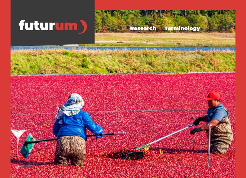 Forecasting frost to protect cranberry crops
