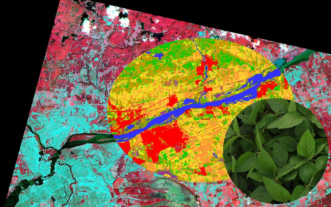 How can remote sensing make agriculture more sustainable?