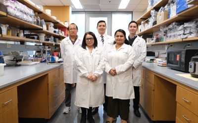 How can immunology improve treatments for urinary tract infections?