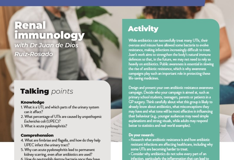 Renal immunology