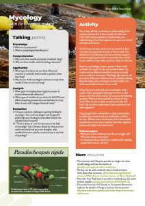 Chinyere-Knight-Activity-Sheet_1
