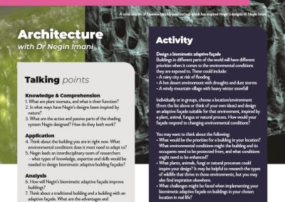 Architecture