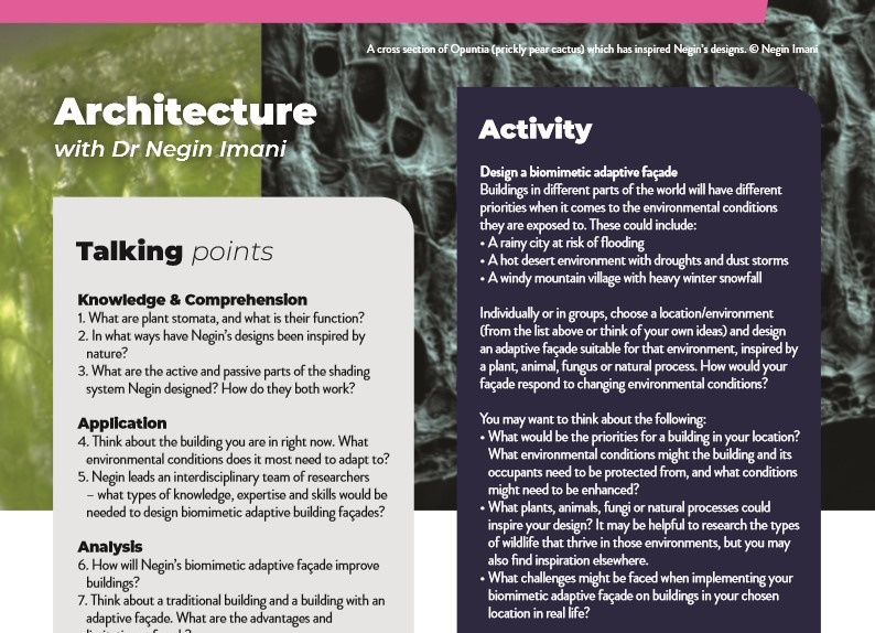 Architecture