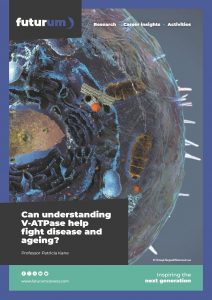 Can understanding V-ATPase help fight disease and ageing?