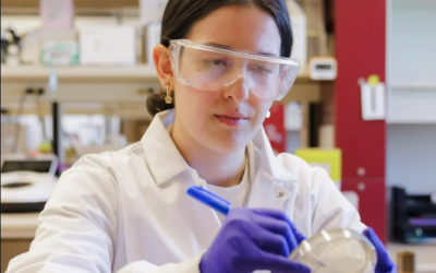 How do researchers make sure new vaccines are safe?