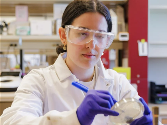 How do researchers make sure new vaccines are safe?