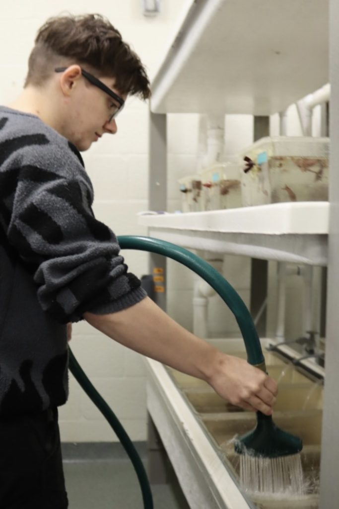 Adrian cleans the Aplysia tanks