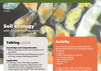 Soil ecology