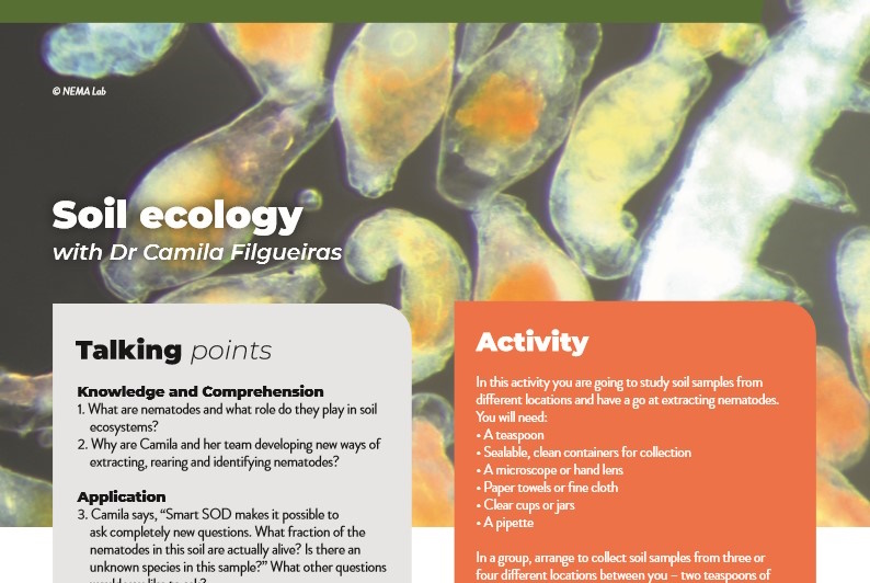 Soil ecology