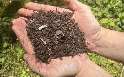 Understanding the hidden world beneath our feet: building tools for studying soil organisms