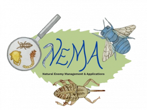 Logo - NEMA