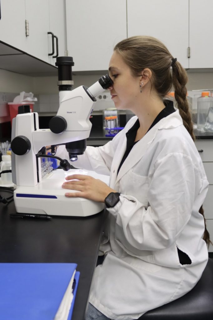 Sadie examines larval Aplysia
