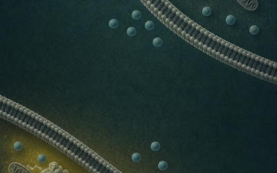 How can we monitor disease in real time?