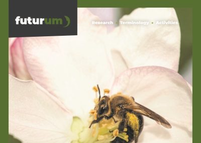 How does forest composition affect pollination in nearby apple orchards?