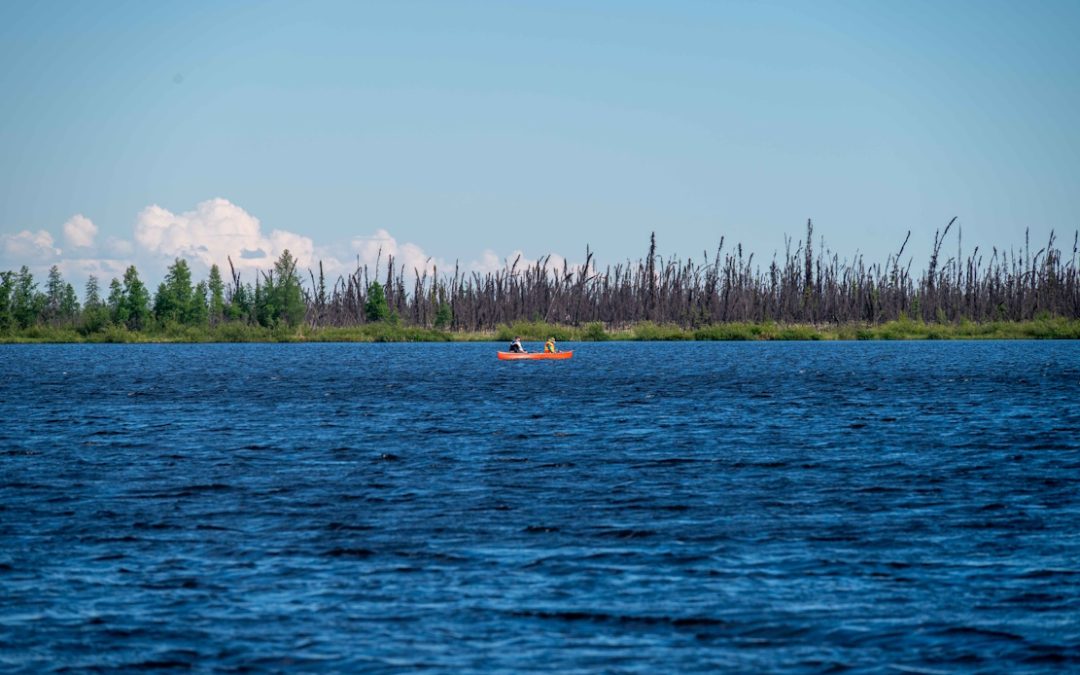 What are lakes revealing about the impacts of permafrost thaw?