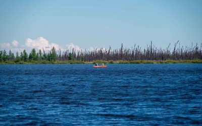 What are lakes revealing about the impacts of permafrost thaw?
